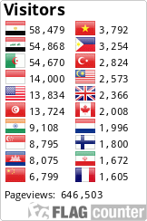 Flag Counter